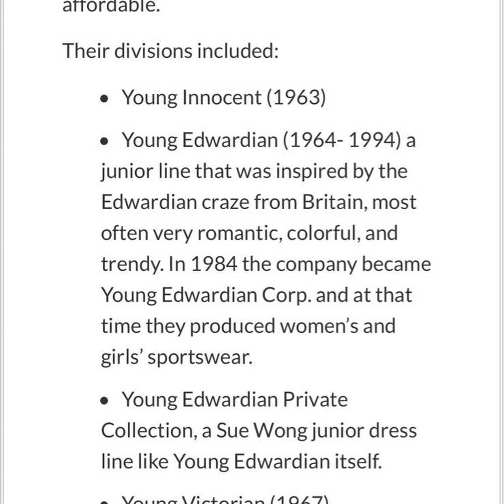 Vintage Young Edwardian by Arpeja dress - image 6
