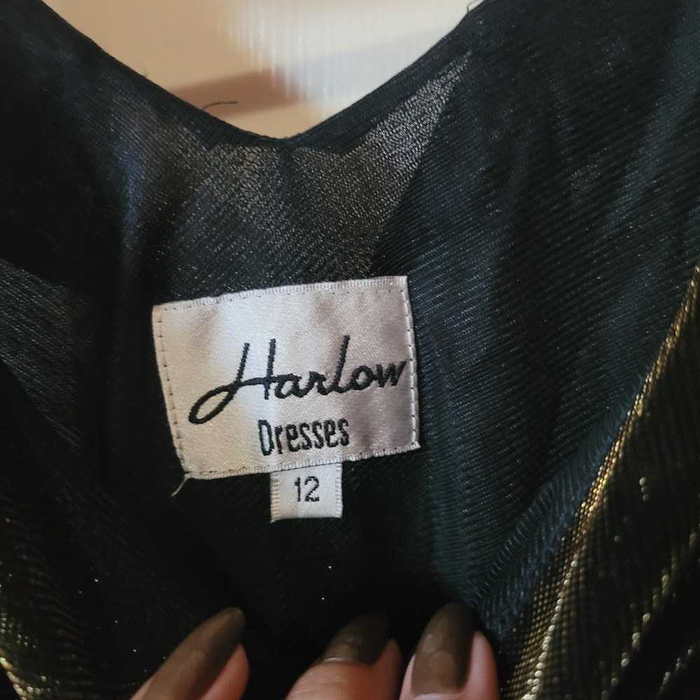 Vintage Harlow gown - image 3