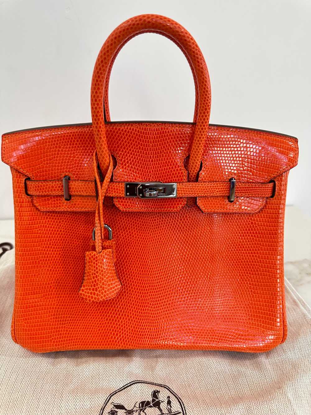 Hermes Hermes Birkin 25 in Orange Poppy Varanus N… - image 2