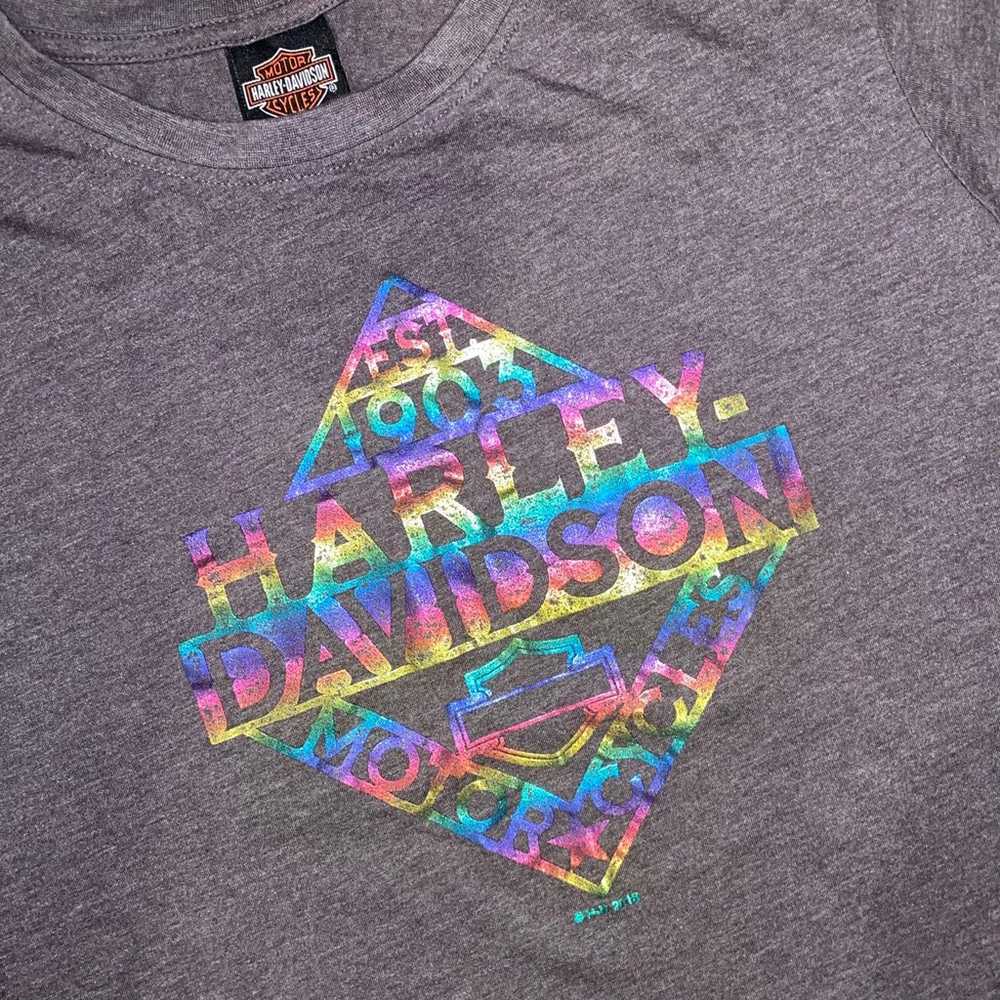 Vintage Harley Davidson rainbow T shirt. - image 4