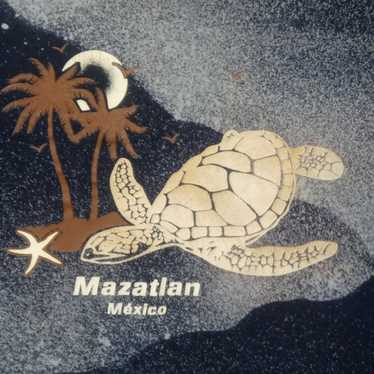 vintage Turtle Mazatlan Mexico Tie Dye t