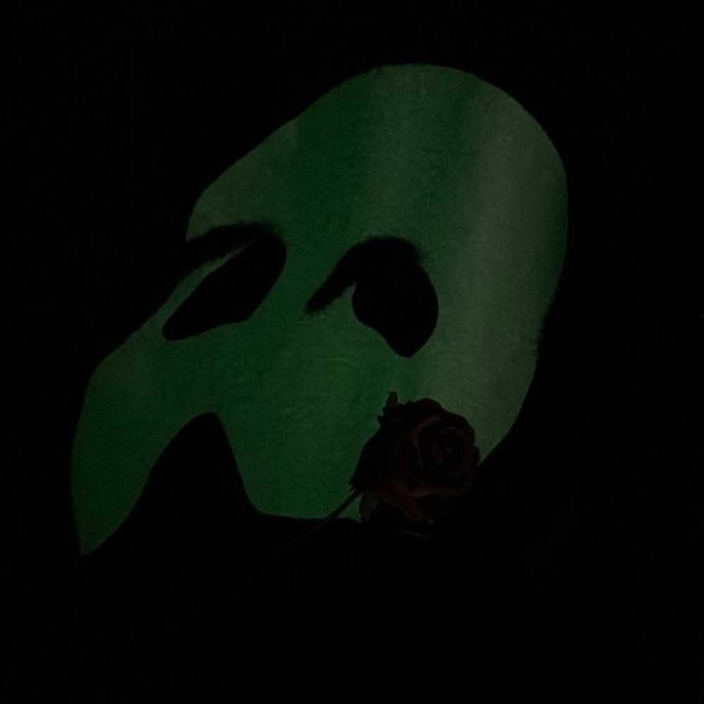 Vintage 1980 Phantom of the opera, black glow in … - image 8