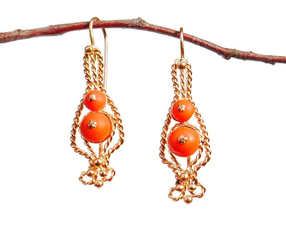 European Dangle Earrings 11ct natural Red Coral s… - image 3