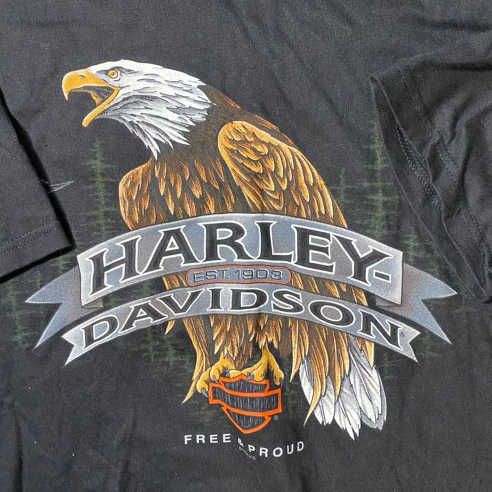 Vintage 98 Harley Davidson Colorful Flam - image 3