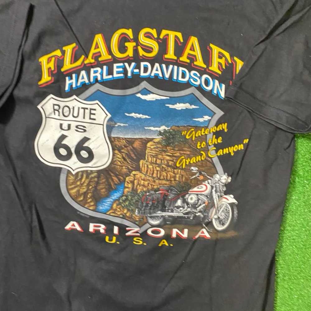 Vintage 98 Harley Davidson Colorful Flam - image 4