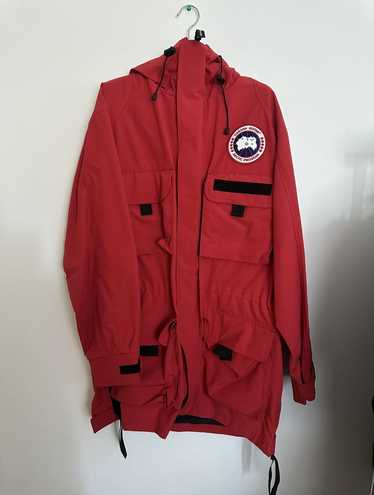 Watanabe canada goose - Gem