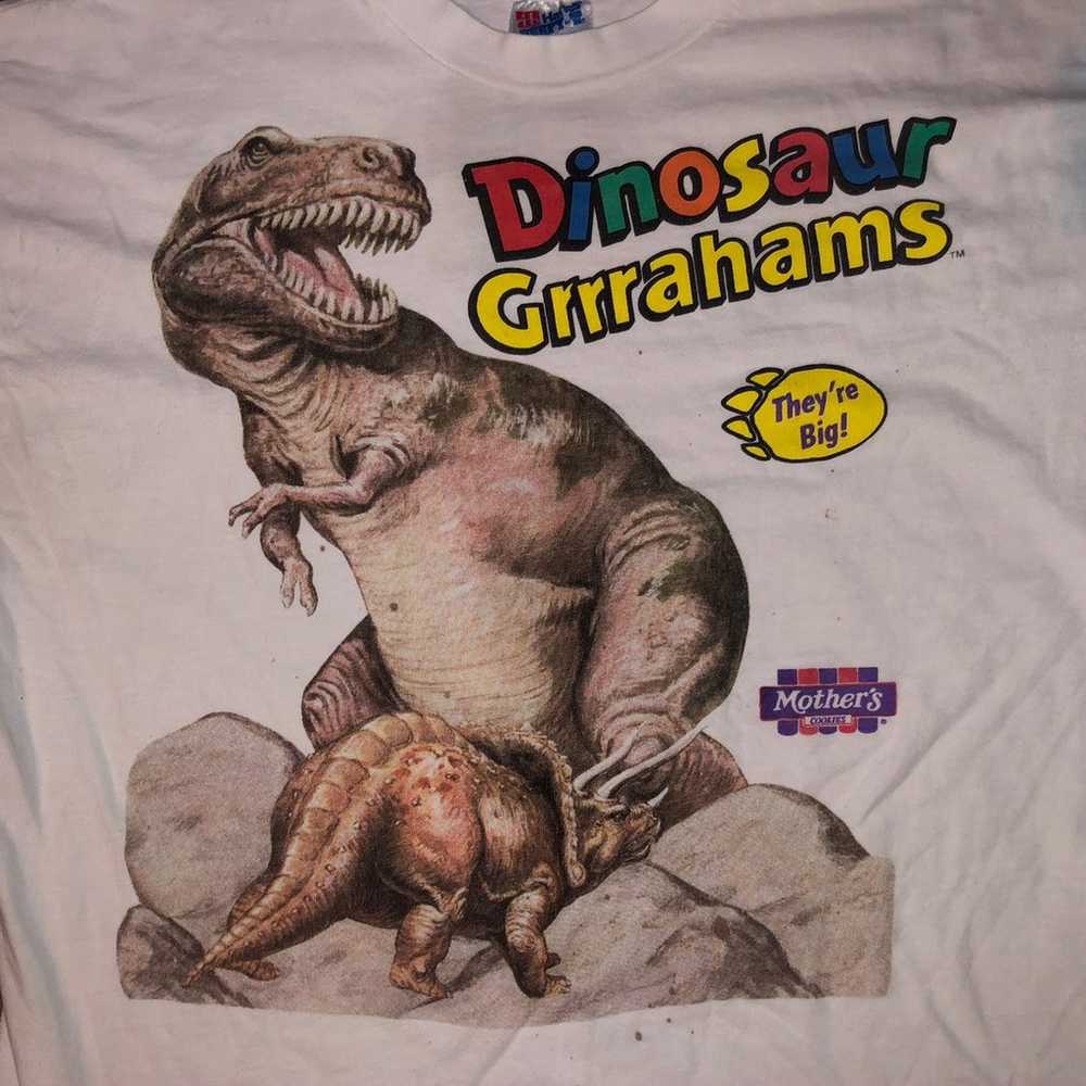 Vintage 90s Dinosaur Grrrahams Mothers - image 3