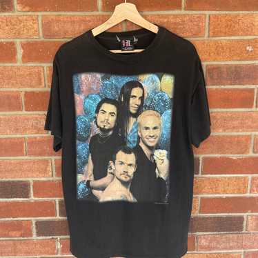 Vintage 1995 RHCP Red Hot Chili Peppers Portrait … - image 1