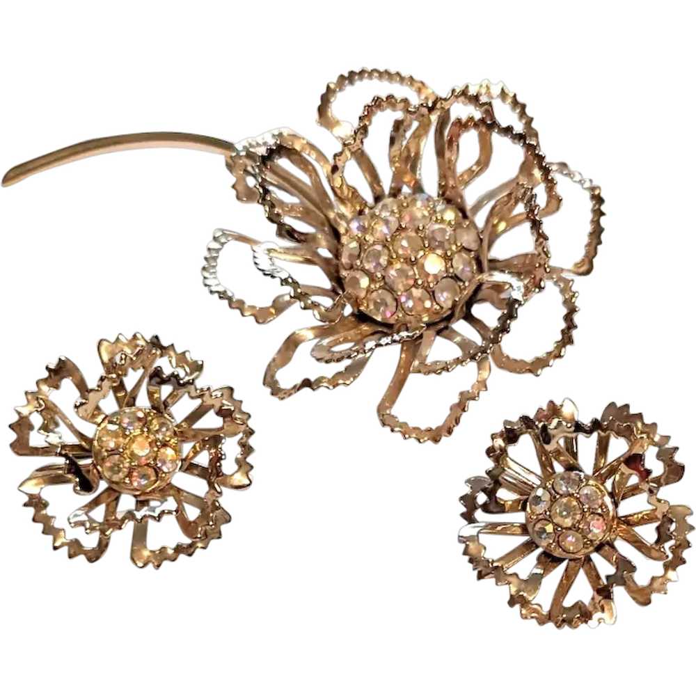 Vintage Sarah Coventry Pin   and Earrings - image 1