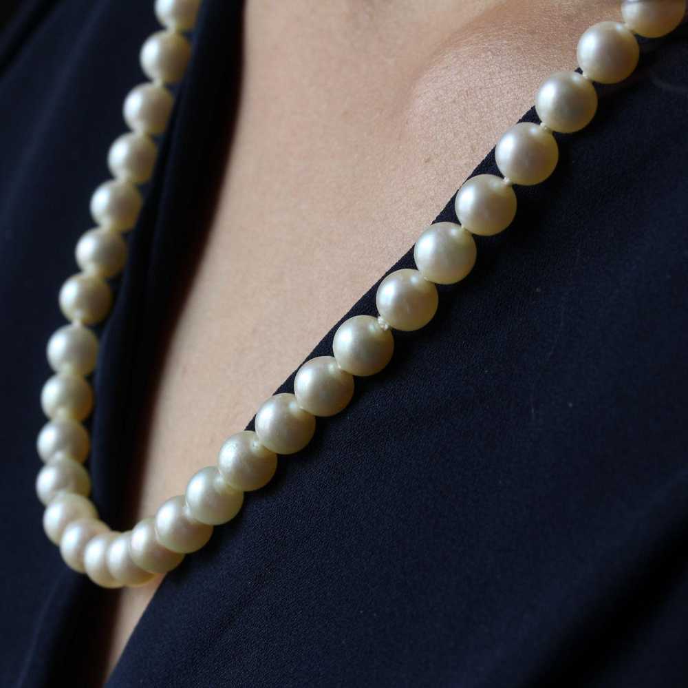 Vintage French 1950s Cultured Pearl Choker Neckla… - image 5