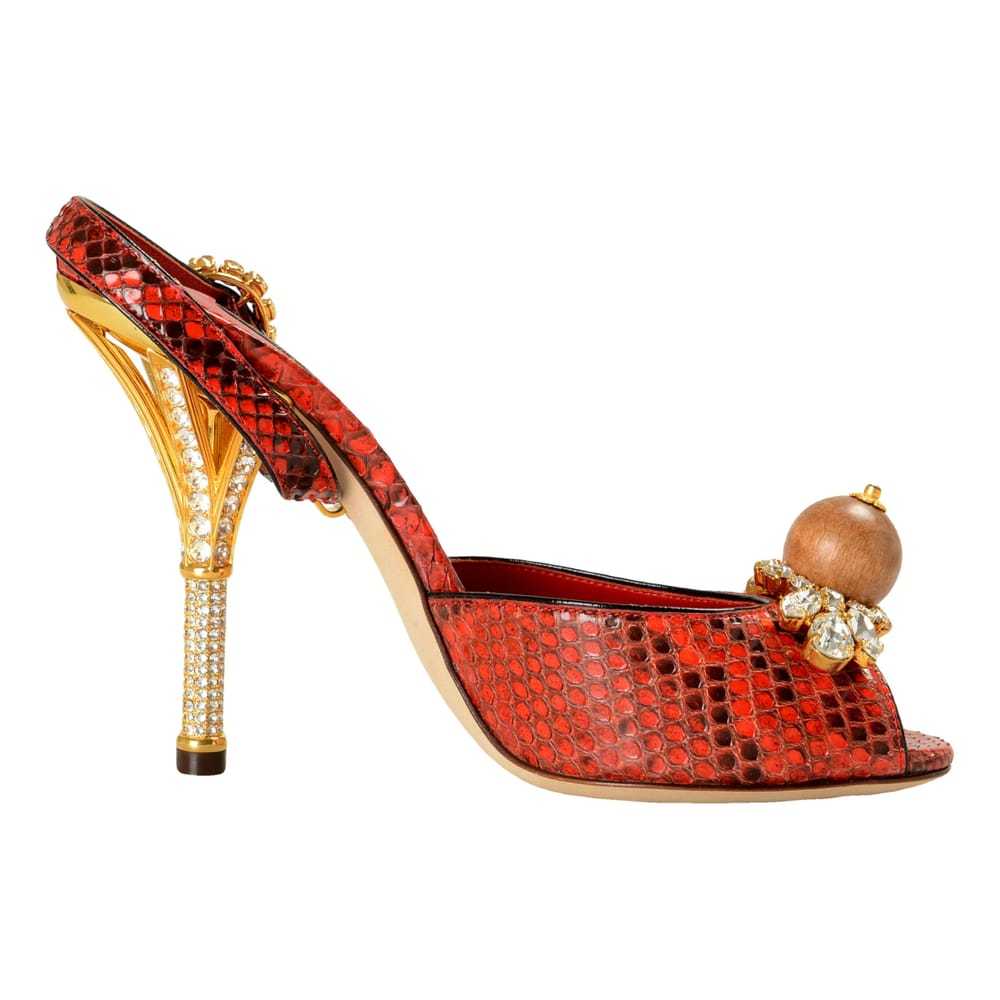 Dolce & Gabbana Python mules - image 1