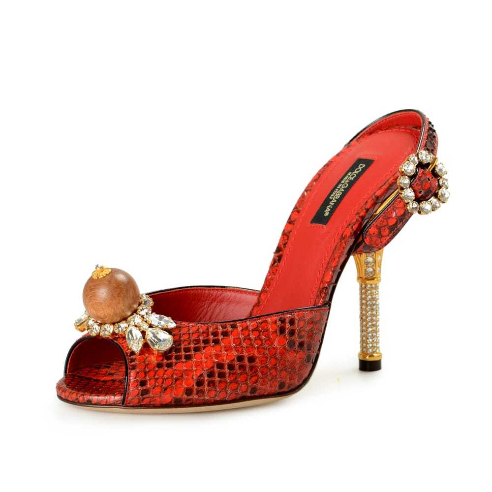 Dolce & Gabbana Python mules - image 2