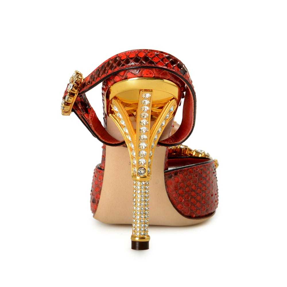 Dolce & Gabbana Python mules - image 4