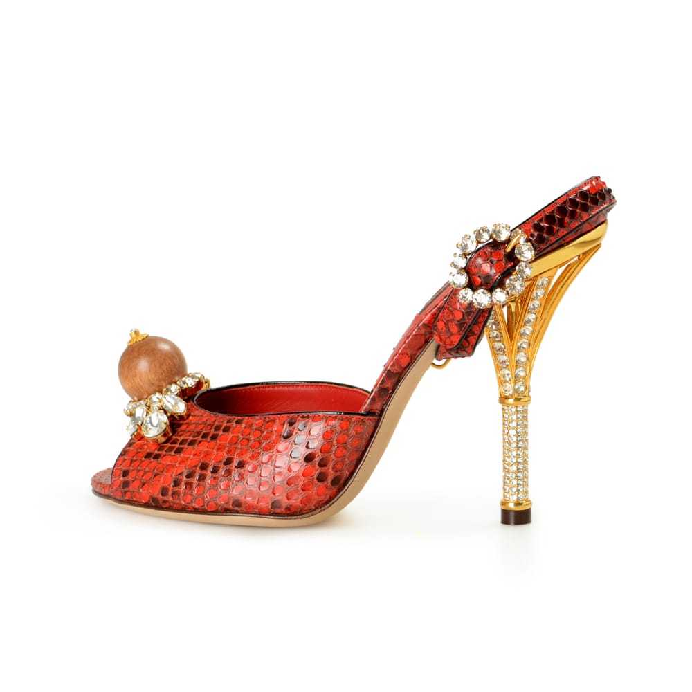 Dolce & Gabbana Python mules - image 6