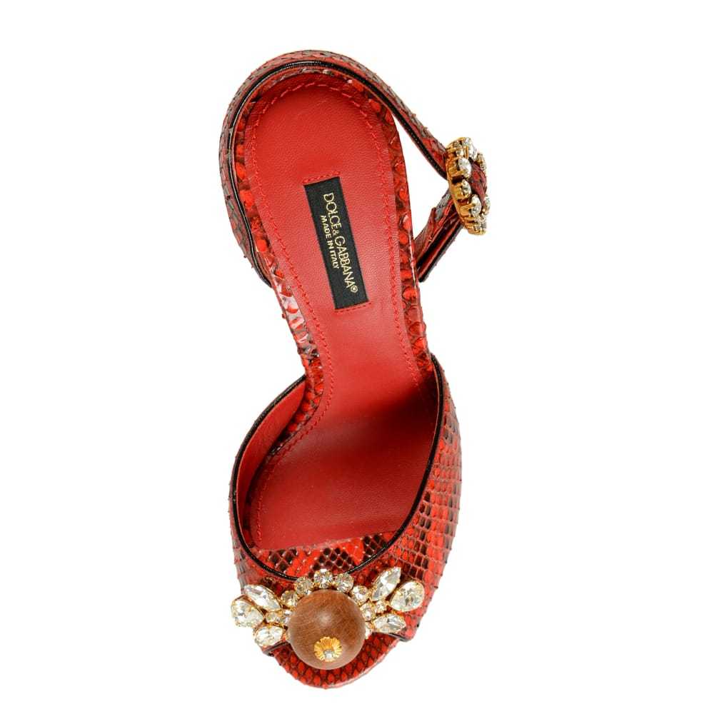 Dolce & Gabbana Python mules - image 7