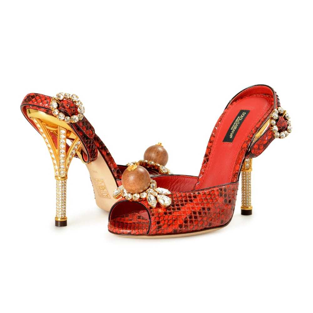 Dolce & Gabbana Python mules - image 8