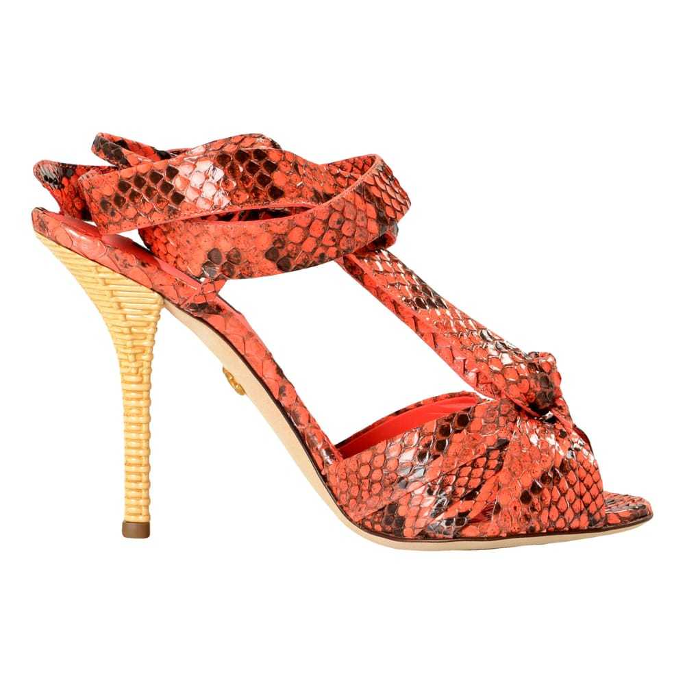 Dolce & Gabbana Python sandal - image 1