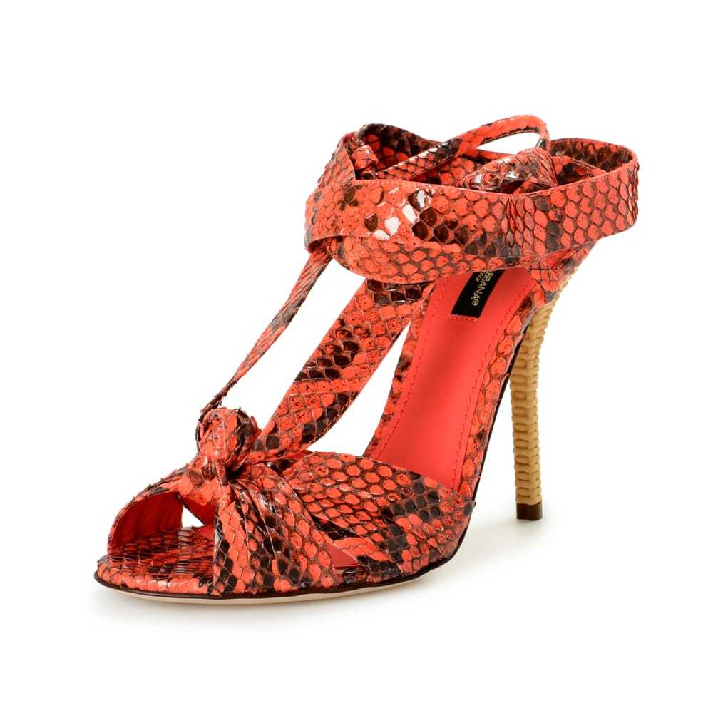 Dolce & Gabbana Python sandal - image 2