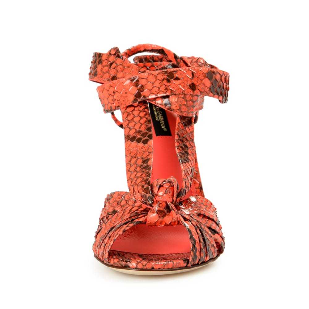 Dolce & Gabbana Python sandal - image 3