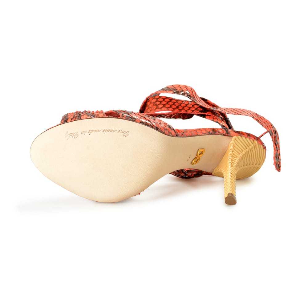Dolce & Gabbana Python sandal - image 5