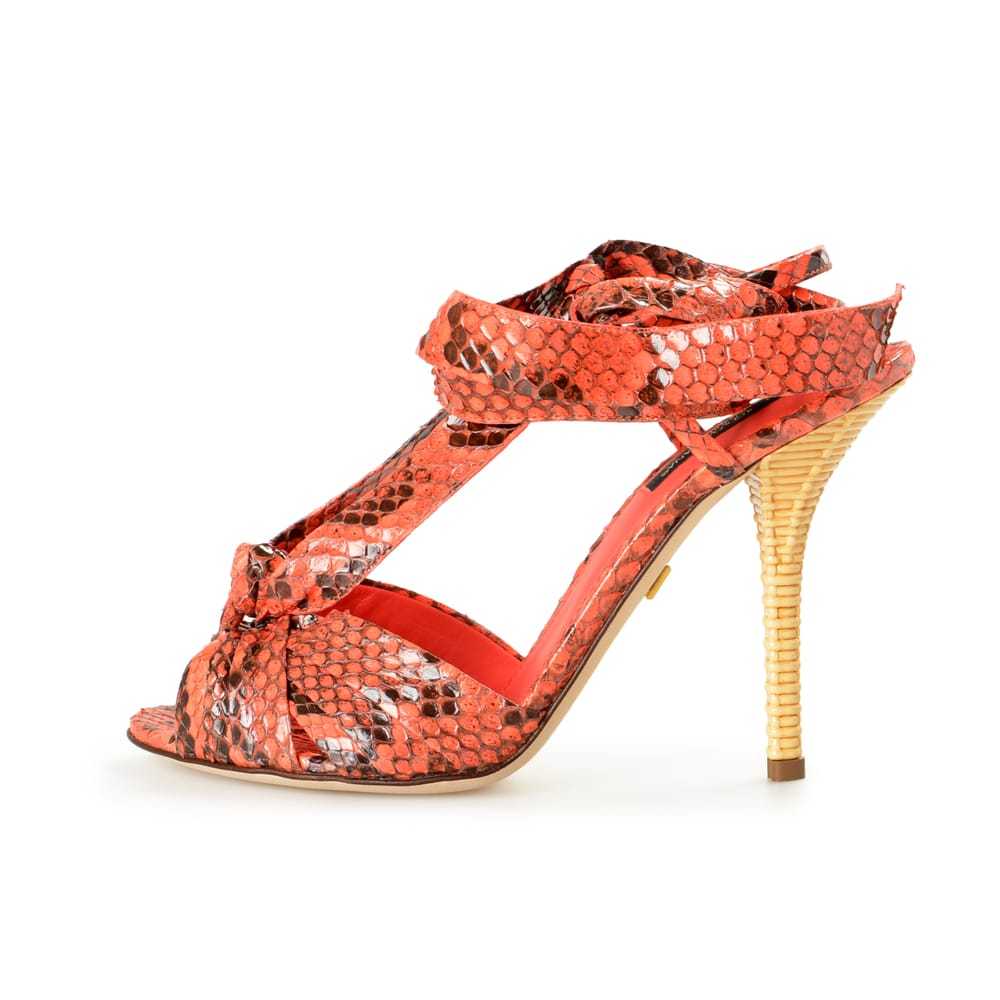 Dolce & Gabbana Python sandal - image 6