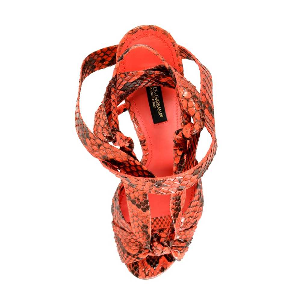 Dolce & Gabbana Python sandal - image 7
