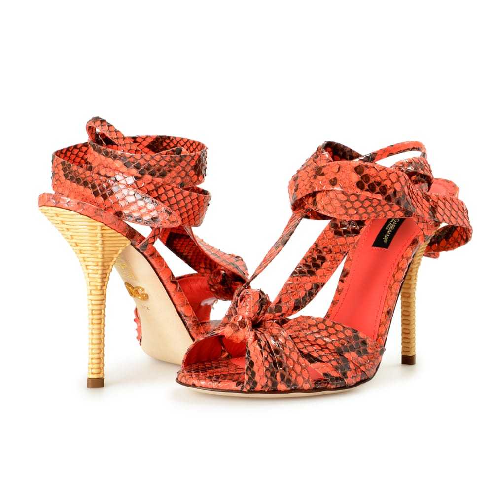 Dolce & Gabbana Python sandal - image 8