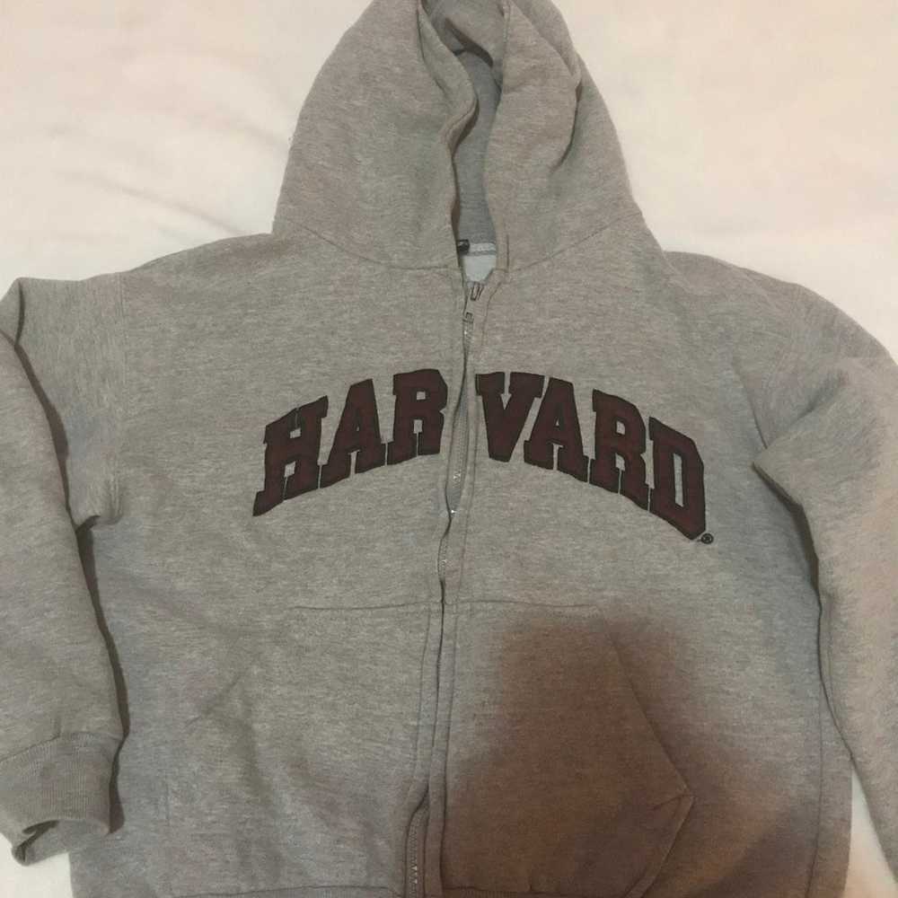 Vintage Harvard Hoodie - image 1