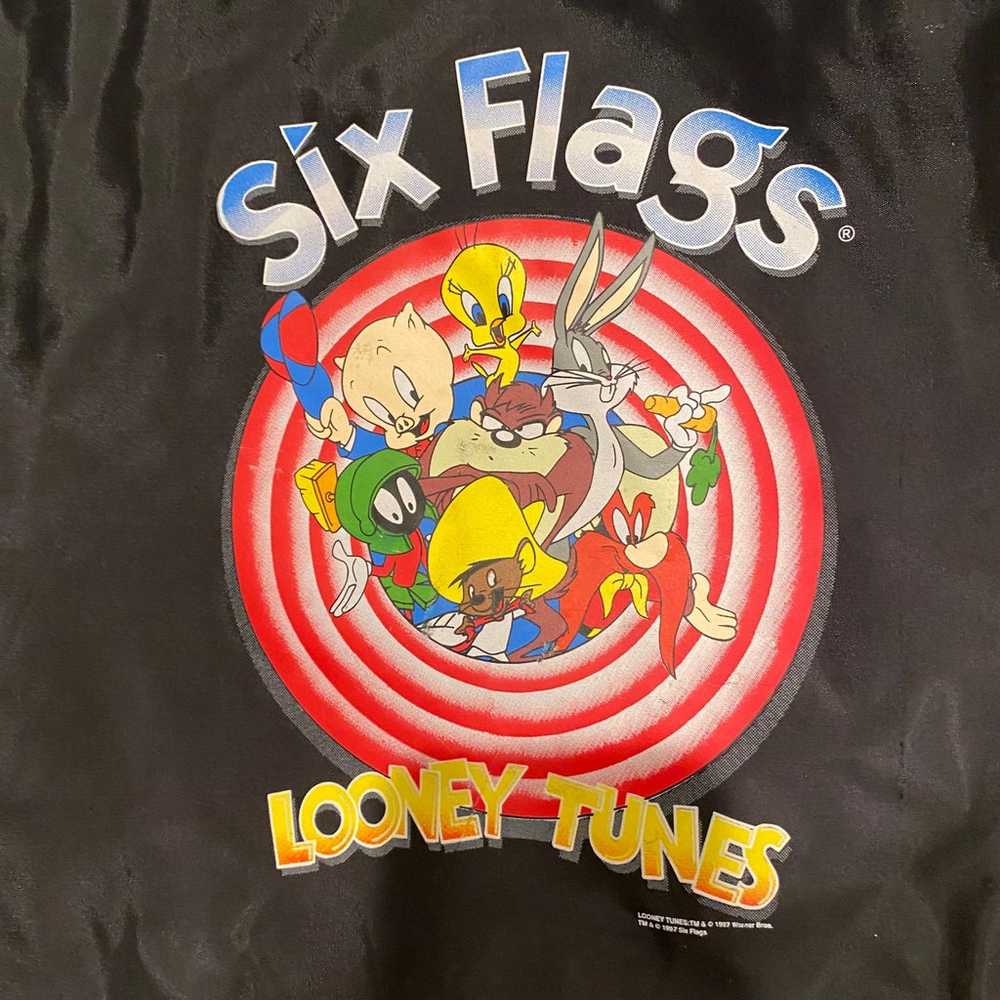 Vintage Looney Tunes bag - image 3