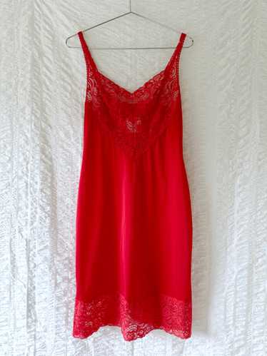 holly red lace slip