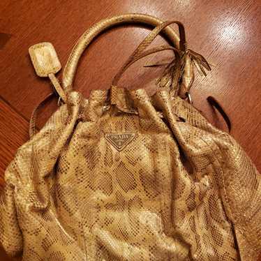 Prada Python Skin Purse - image 1