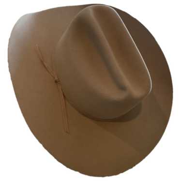 Stetson Beaver hat - image 1