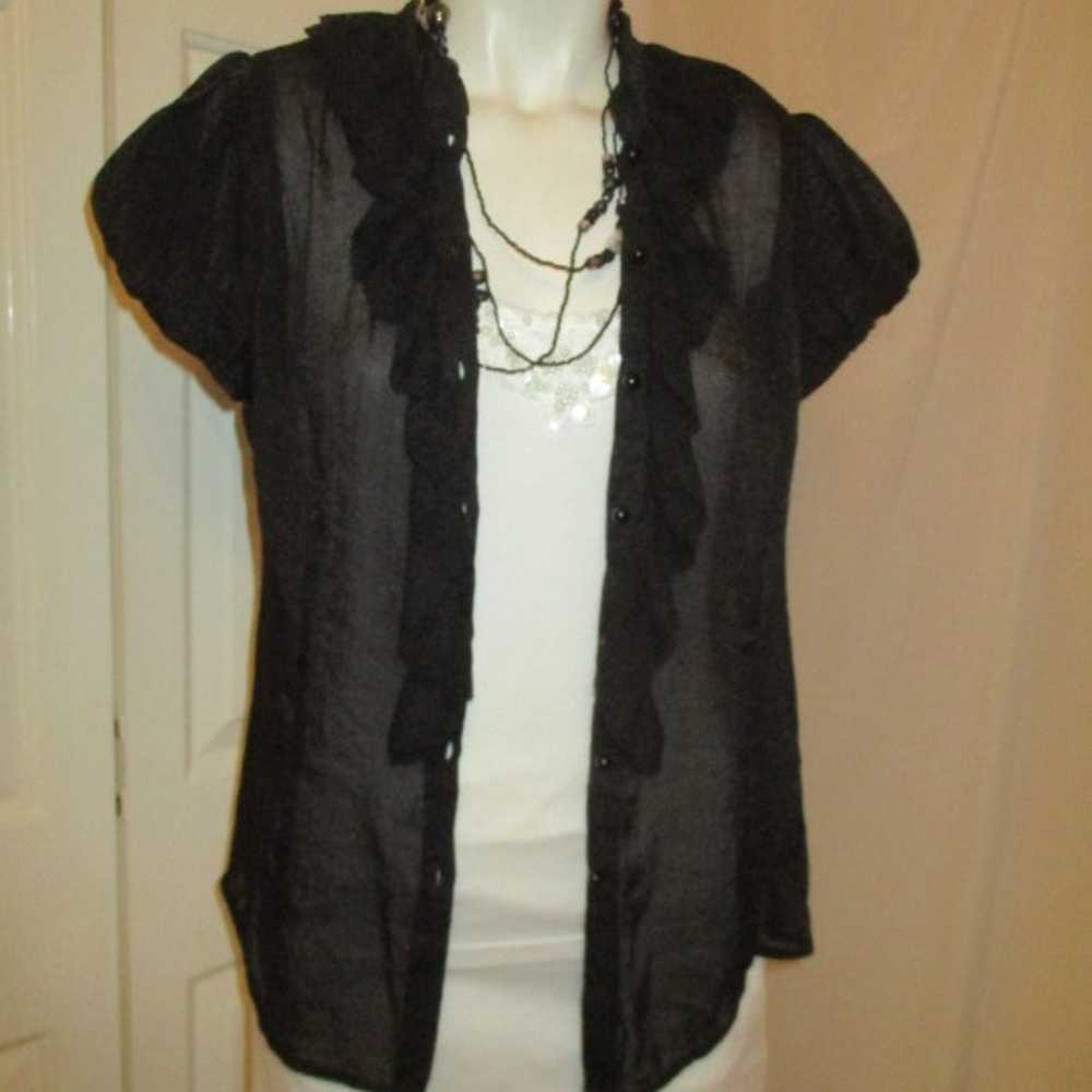 Aggie vintage sheer  short sleeve blouse - image 10