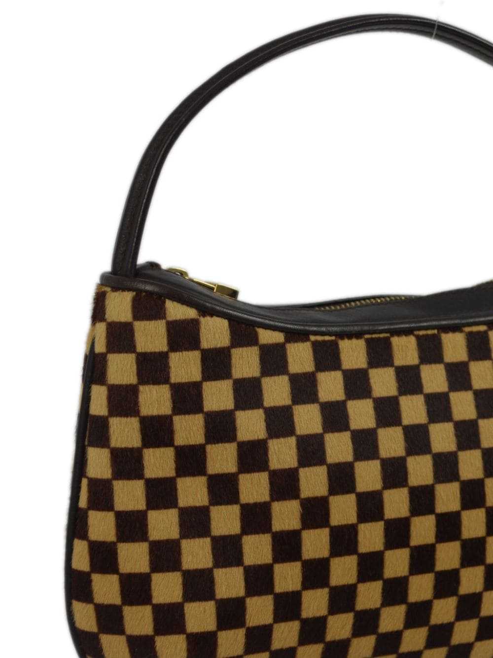 Louis Vuitton Pre-Owned 2001 Damier Sauvage Tigar… - image 3