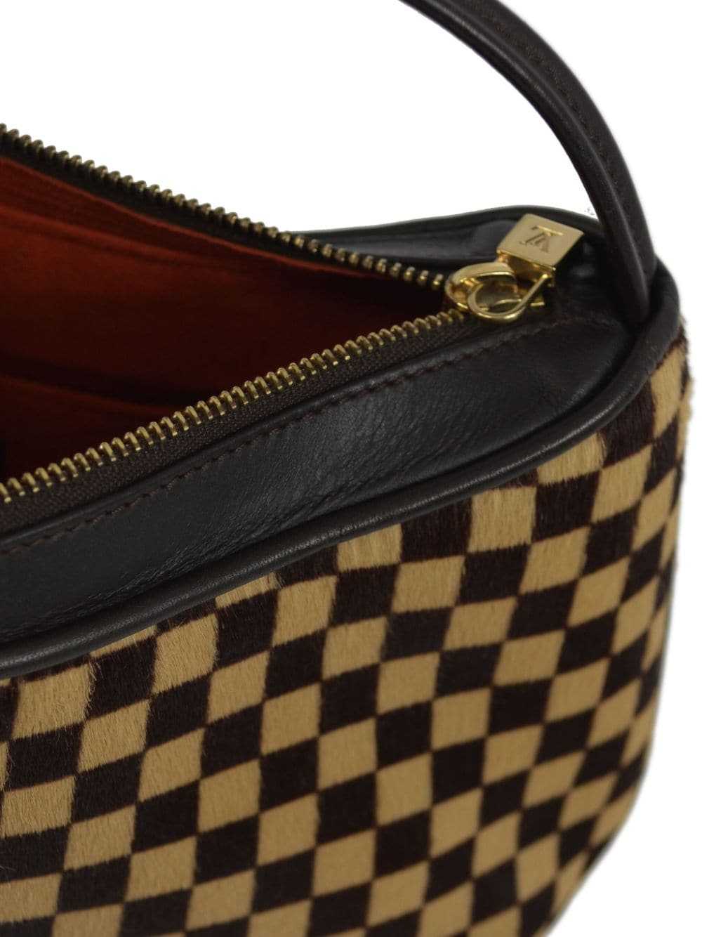 Louis Vuitton Pre-Owned 2001 Damier Sauvage Tigar… - image 4