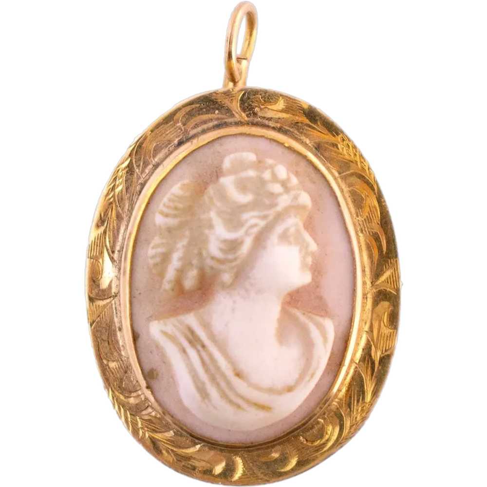 10K Gold Shell Cameo Pin/Pendant - image 1