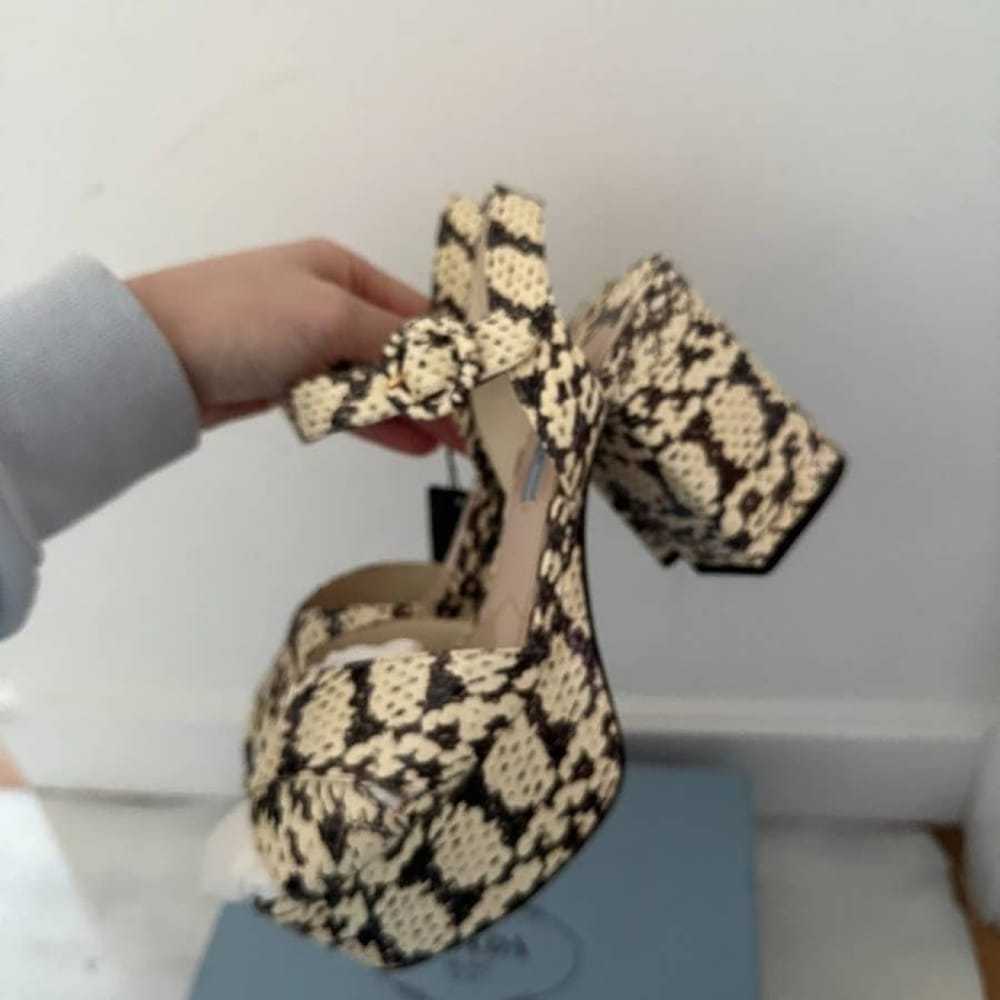 Prada Python sandal - image 10