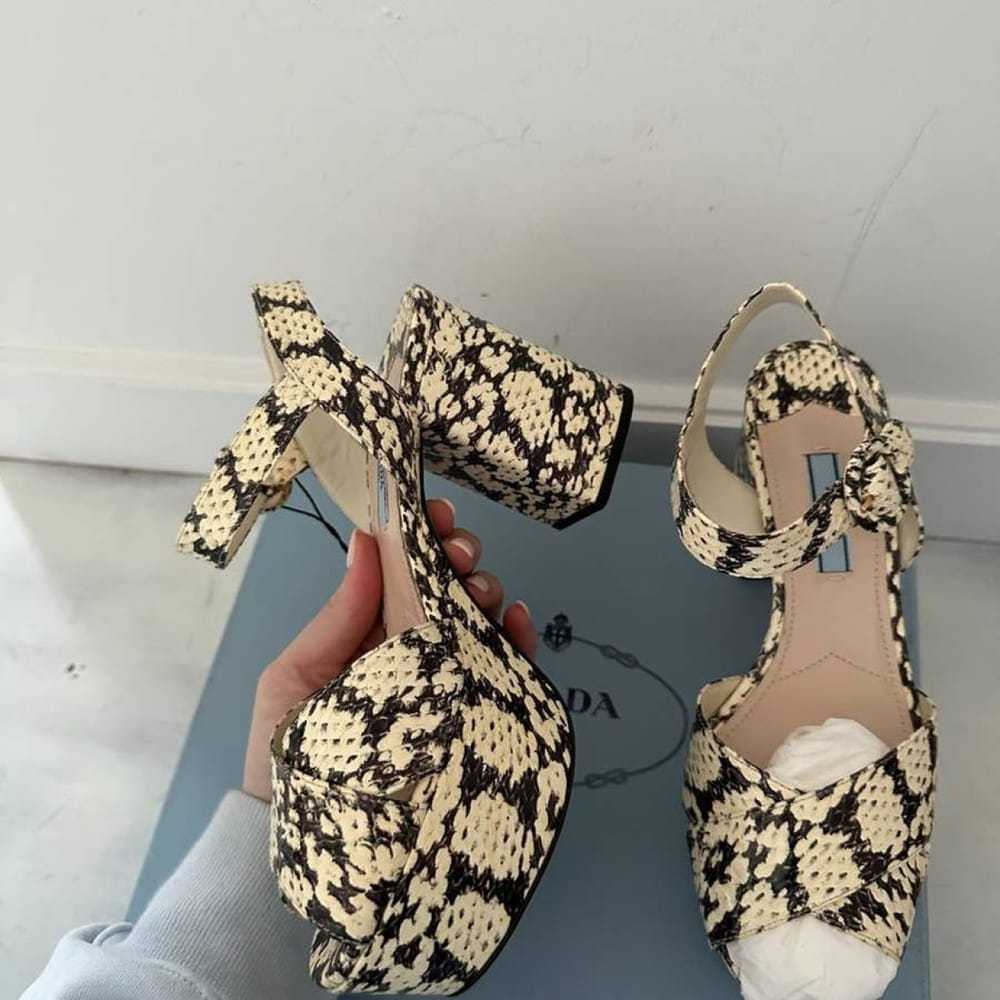 Prada Python sandal - image 2