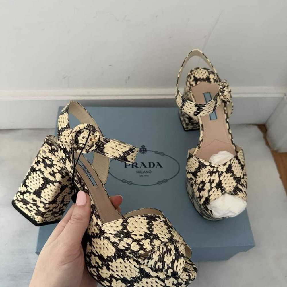 Prada Python sandal - image 4