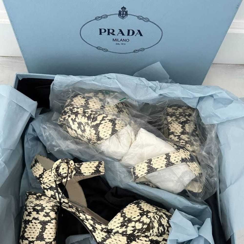 Prada Python sandal - image 8