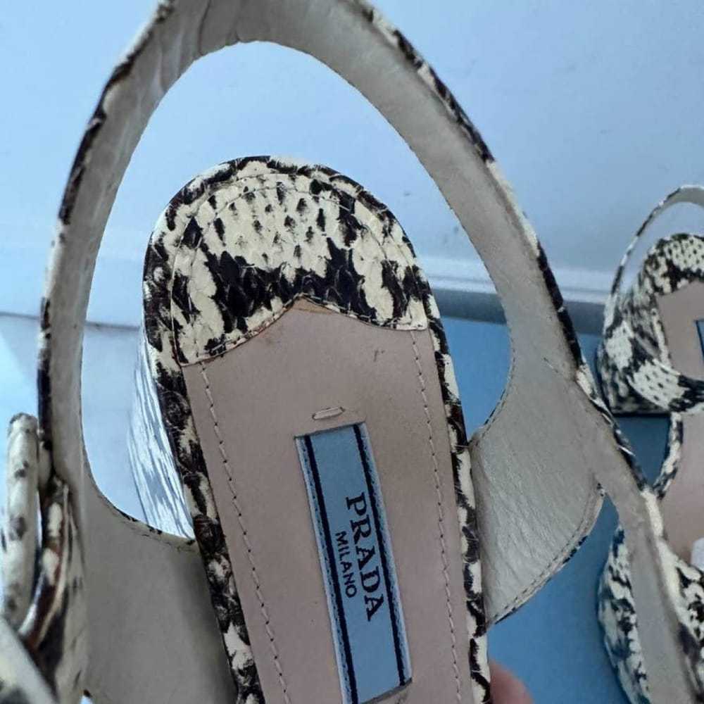 Prada Python sandal - image 9