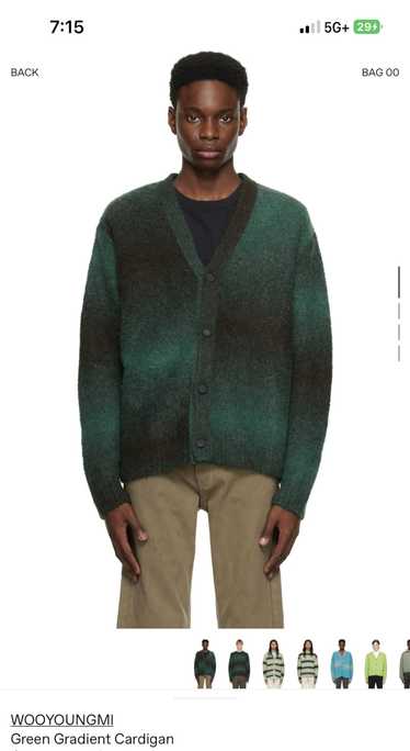 Wooyoungmi WOOYOUNGMI GREEN GRADIENT CARDIGAN