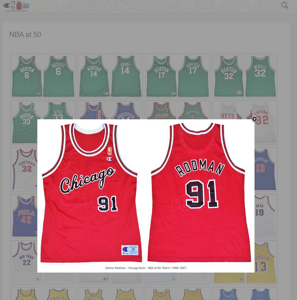 Champion Champion - Chicago Bulls Dennis Rodman v… - image 8