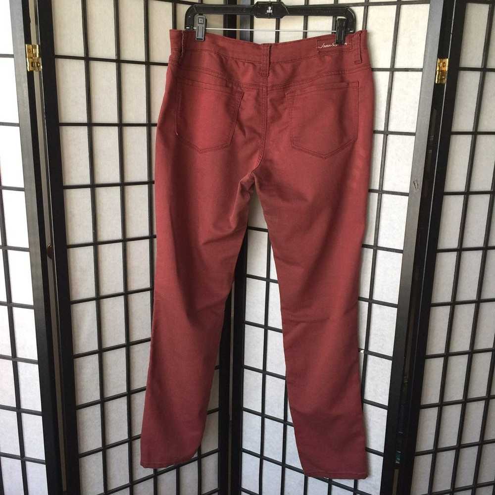 Vintage Brick Red Stretch Jeans - image 5