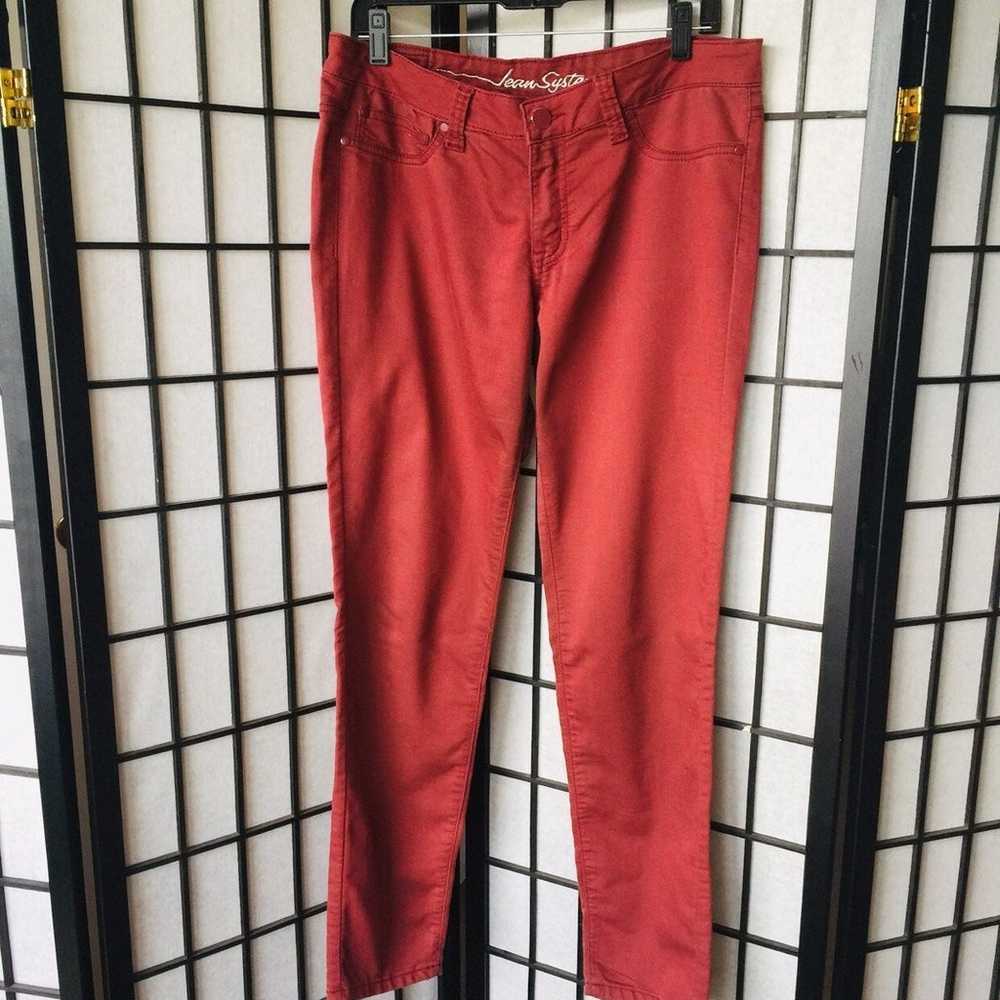 Vintage Brick Red Stretch Jeans - image 6