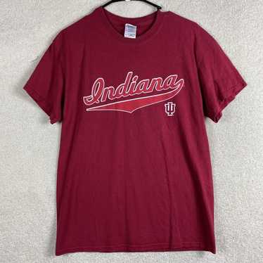 The Unbranded Brand Indiana Hoosiers NCAA Adult Si