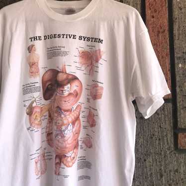 ANATOMICAL CHART COMPANY 1987 Vintage T-Shirt Human S… - Gem