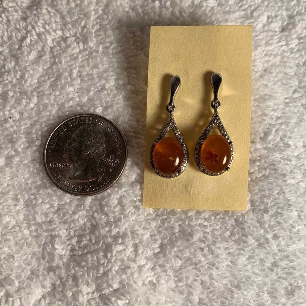 Amber SS Earrings - image 3