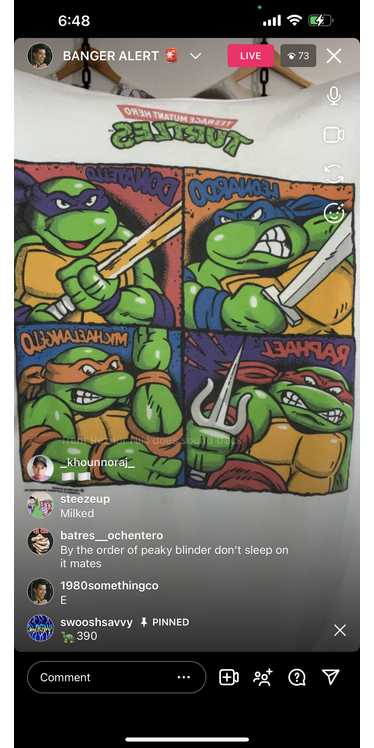 390 ninja turtles squares (secondhand)