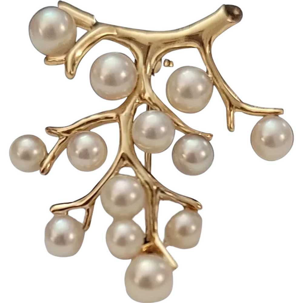 14K Yellow Gold Branch Genuine Pearl, Berry Tree … - image 1